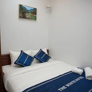 the-white-guesthouse.hotelsvungtau.com/